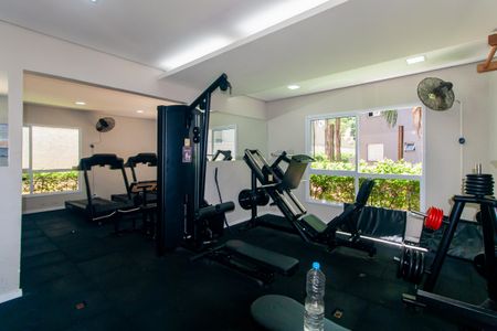 Apartamento à venda com 65m², 2 quartos e 1 vaga Apartamento à venda com 65m², 2 quartos e 1 vagaÁrea comum - Academia