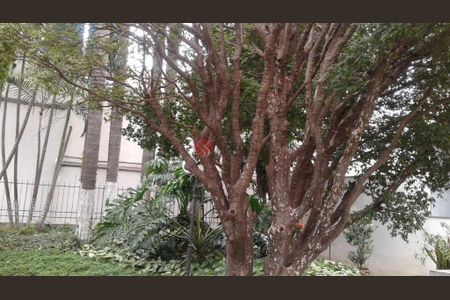 Apartamento à venda com 80m², 3 quartos e 1 vaga