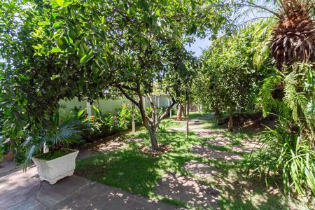 Casa à venda com 1000m², 5 quartos e 8 vagasJardim