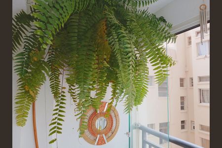 Apartamento à venda com 44m², 1 quarto e 1 vaga Apartamento à venda com 44m², 1 quarto e 1 vagaVaranda da Sala