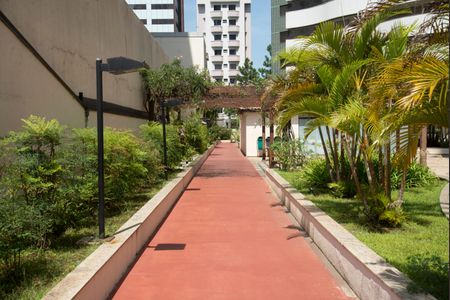 Apartamento à venda com 280m², 3 quartos e 4 vagasArea de Circulação