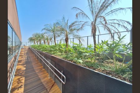 Apartamento para alugar com 31m², 1 quarto e sem vaga Apartamento para alugar com 31m², 1 quarto e sem vagaÁrea comum