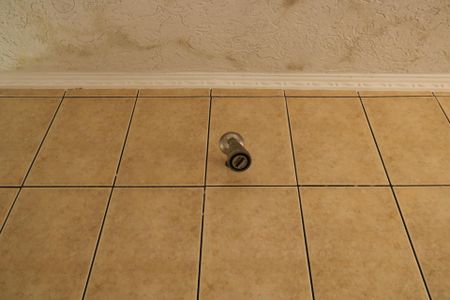 Casa à venda com 247m², 2 quartos e 2 vagasBanheiro da Suíte - Chuveiro