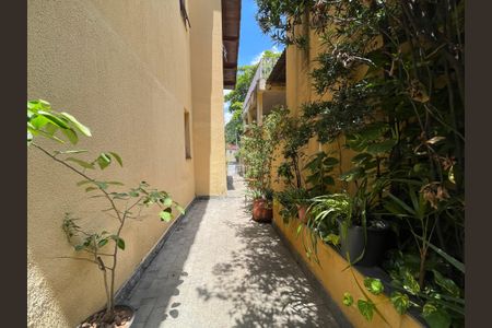 Casa à venda com 230m², 5 quartos e 3 vagas Casa à venda com 230m², 5 quartos e 3 vagasQuintal