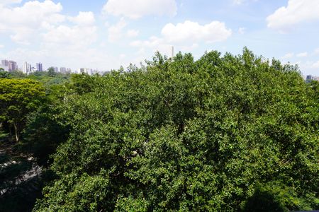 Apartamento à venda com 305m², 4 quartos e 4 vagasSala 2