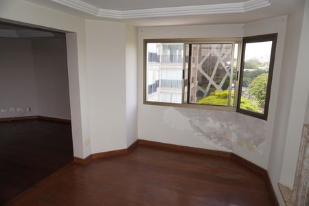Apartamento à venda com 305m², 4 quartos e 4 vagasSala 2