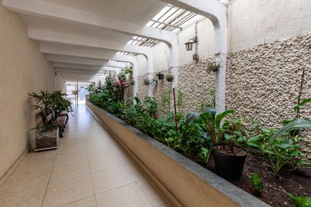 Apartamento à venda com 62m², 2 quartos e 1 vaga Apartamento à venda com 62m², 2 quartos e 1 vagaCozinha