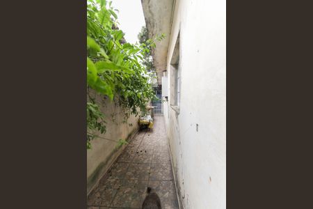 Casa à venda com 111m², 4 quartos e 1 vaga Casa à venda com 111m², 4 quartos e 1 vagaCorredor Externo