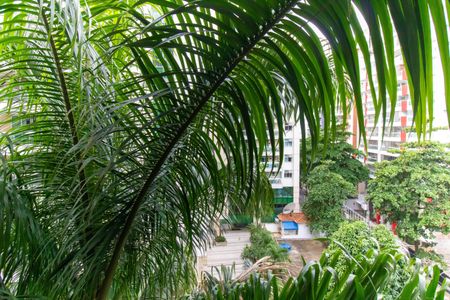 Apartamento à venda com 120m², 3 quartos e 2 vagasVista da Suíte