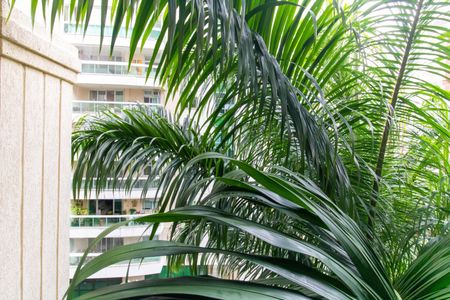 Apartamento à venda com 120m², 3 quartos e 2 vagasVista do Quarto 1