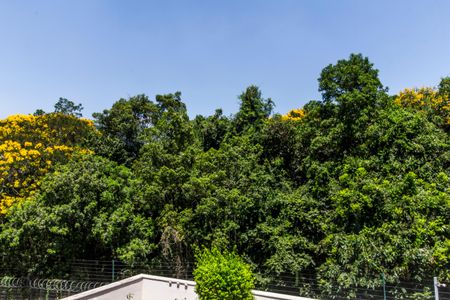 Casa de condomínio para alugar com 672m², 5 quartos e 6 vagas Casa de condomínio para alugar com 672m², 5 quartos e 6 vagasVista da Varanda