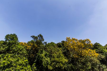 Casa de condomínio para alugar com 672m², 5 quartos e 6 vagas Casa de condomínio para alugar com 672m², 5 quartos e 6 vagasVista da Varanda