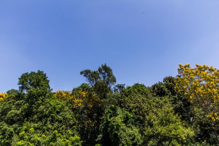 Casa de condomínio para alugar com 672m², 5 quartos e 6 vagas Casa de condomínio para alugar com 672m², 5 quartos e 6 vagasVista da Varanda