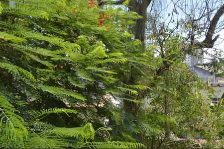 Apartamento à venda com 75m², 3 quartos e 1 vaga Apartamento à venda com 75m², 3 quartos e 1 vagaVista do Quarto 3