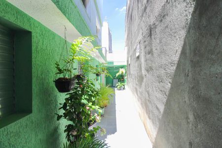 Casa à venda com 253m², 3 quartos e 2 vagas Casa à venda com 253m², 3 quartos e 2 vagasQuintal