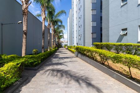 Apartamento para alugar com 72m², 2 quartos e 1 vaga Apartamento para alugar com 72m², 2 quartos e 1 vagaÁrea externa