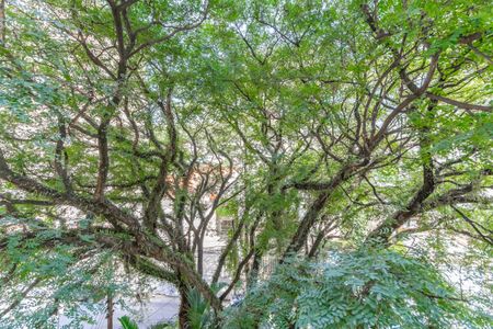 Apartamento à venda com 100m², 3 quartos e 1 vaga Apartamento à venda com 100m², 3 quartos e 1 vagaVista da Varanda