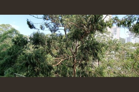 Apartamento à venda com 223m², 3 quartos e 4 vagas Apartamento à venda com 223m², 3 quartos e 4 vagasVista Suíte master