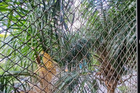 Apartamento à venda com 68m², 3 quartos e 2 vagas Apartamento à venda com 68m², 3 quartos e 2 vagasVista do Quarto 2