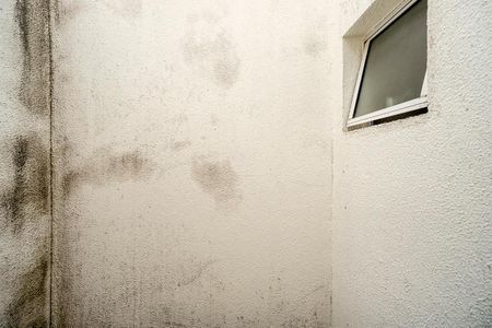 Casa de condomínio à venda com 90m², 2 quartos e 1 vagaVista da suíte 01