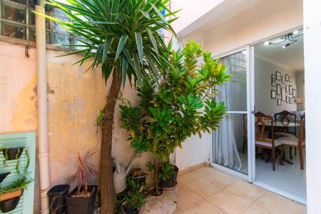 Casa de condomínio para alugar com 85m², 2 quartos e 2 vagas Casa de condomínio para alugar com 85m², 2 quartos e 2 vagasQuintal