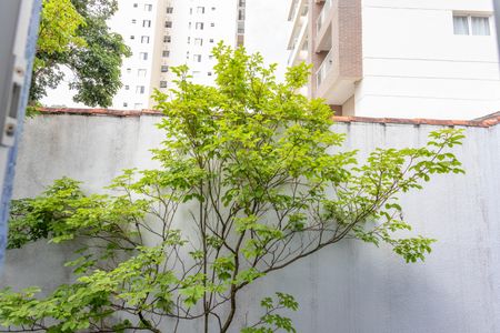 Casa de condomínio à venda com 215m², 3 quartos e 2 vagasVista do quarto 2