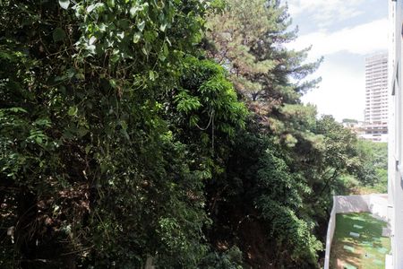 Apartamento para alugar com 39m², 2 quartos e sem vagaVista da Varanda