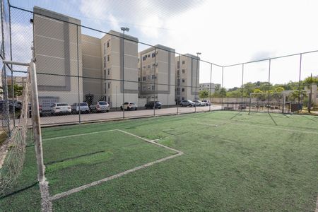 Apartamento para alugar com 50m², 2 quartos e 1 vaga Apartamento para alugar com 50m², 2 quartos e 1 vagaQuadra Esportiva