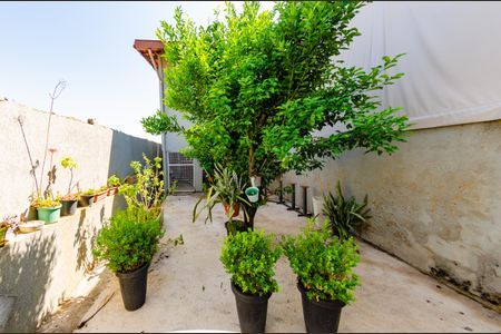 Casa à venda com 497m², 4 quartos e 6 vagasÁrea externa