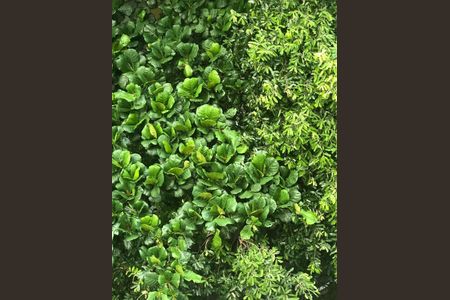 Apartamento à venda com 215m², 4 quartos e sem vaga