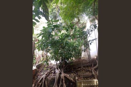 Apartamento à venda com 70m², 2 quartos e sem vaga