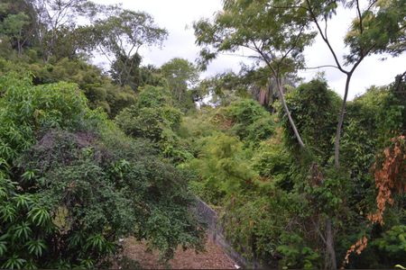 Casa de condomínio à venda com 120m², 4 quartos e 2 vagas Casa de condomínio à venda com 120m², 4 quartos e 2 vagasVista do Quarto 3