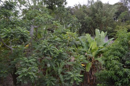 Casa de condomínio à venda com 120m², 4 quartos e 2 vagas Casa de condomínio à venda com 120m², 4 quartos e 2 vagasVista do Quarto 3