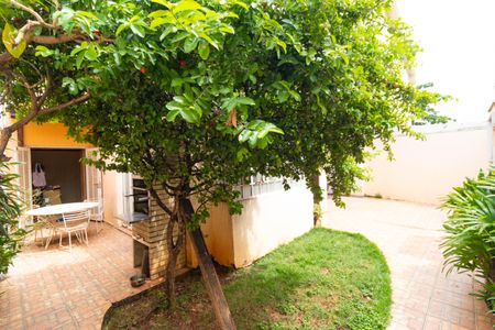Casa à venda com 206m², 3 quartos e 3 vagas Casa à venda com 206m², 3 quartos e 3 vagasJardim