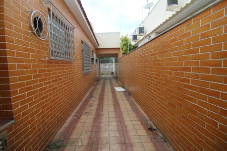 Casa à venda com 300m², 5 quartos e 6 vagasCorredor lateral