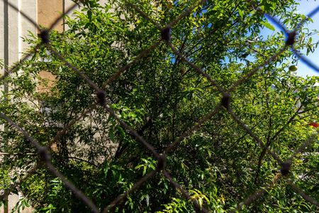 Apartamento à venda com 60m², 2 quartos e 1 vaga Apartamento à venda com 60m², 2 quartos e 1 vagaQuarto 2 - Vista