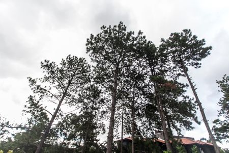 Casa de condomínio à venda com 503m², 4 quartos e 3 vagas Casa de condomínio à venda com 503m², 4 quartos e 3 vagasQuintal