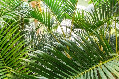 Casa de condomínio à venda com 503m², 4 quartos e 3 vagas Casa de condomínio à venda com 503m², 4 quartos e 3 vagasVista da Sala