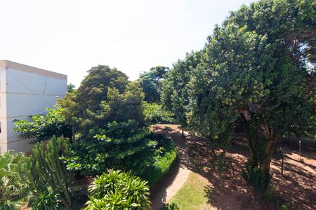 Apartamento à venda com 76m², 3 quartos e 1 vaga Apartamento à venda com 76m², 3 quartos e 1 vagaVista do Quarto 03