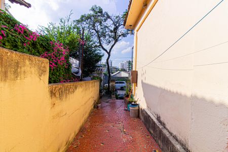 Casa à venda com 312m², 2 quartos e 2 vagas Casa à venda com 312m², 2 quartos e 2 vagasÁrea de Serviço - Casa 1