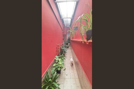 Casa à venda com 194m², 4 quartos e 2 vagas Casa à venda com 194m², 4 quartos e 2 vagasÁrea de Serviço - Quintal