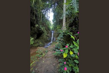 Casa de condomínio à venda com 486m², 4 quartos e sem vaga