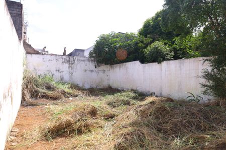 Casa para alugar com 400m², 4 quartos e 6 vagasQuintal