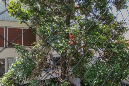 Casa de condomínio à venda com 250m², 3 quartos e 2 vagas Casa de condomínio à venda com 250m², 3 quartos e 2 vagasVista da Suíte 2
