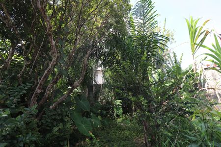 Casa à venda com 200m², 4 quartos e 3 vagasQuintal