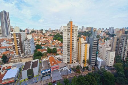 Apartamento à venda com 256m², 4 quartos e 3 vagasVista da Varanda