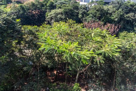 Apartamento à venda com 338m², 4 quartos e 4 vagas Apartamento à venda com 338m², 4 quartos e 4 vagasVista da Varanda