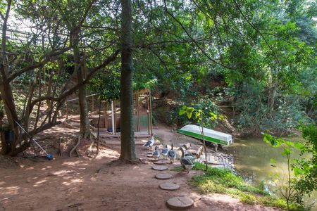 Apartamento à venda com 338m², 4 quartos e 4 vagasÁrea comum 