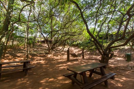 Apartamento à venda com 338m², 4 quartos e 4 vagasÁrea comum 