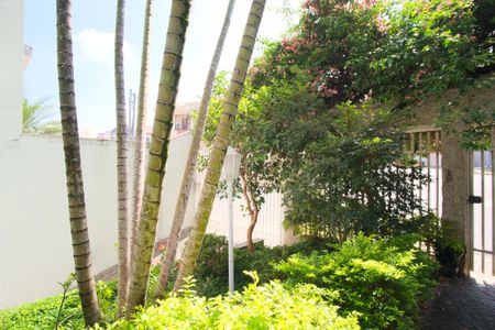 Casa à venda com 330m², 3 quartos e 4 vagasQuintal